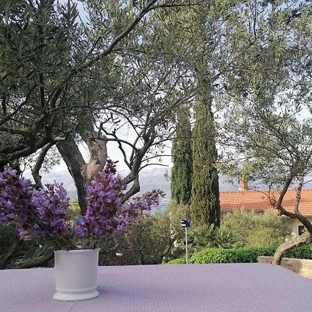 Holiday Olive- 150m From Sea